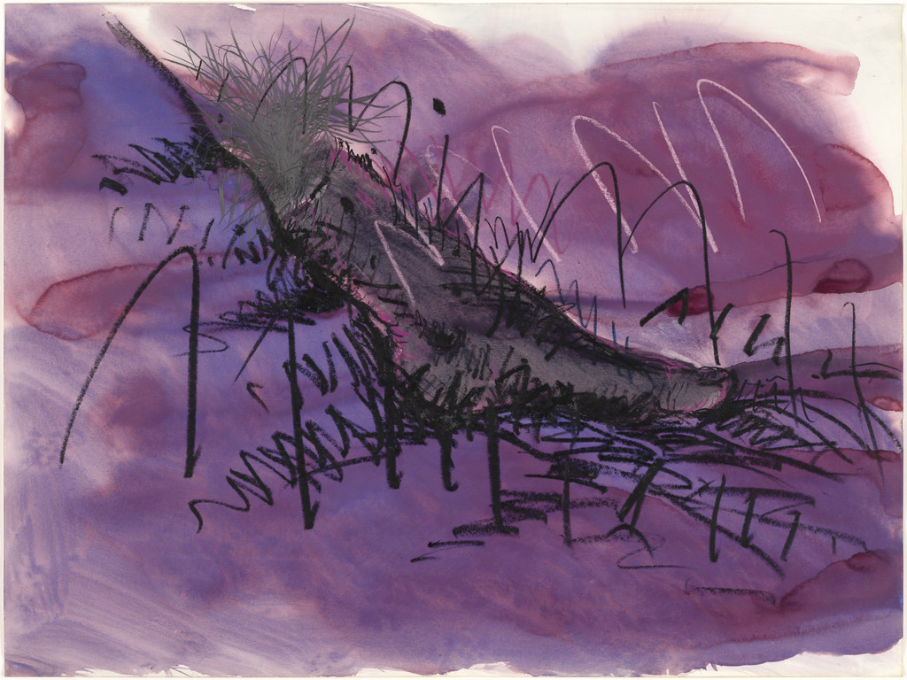 Blackfoot Landscape