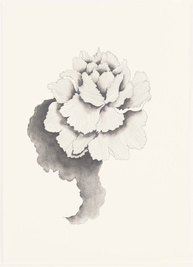 Untitled (Flower #18)