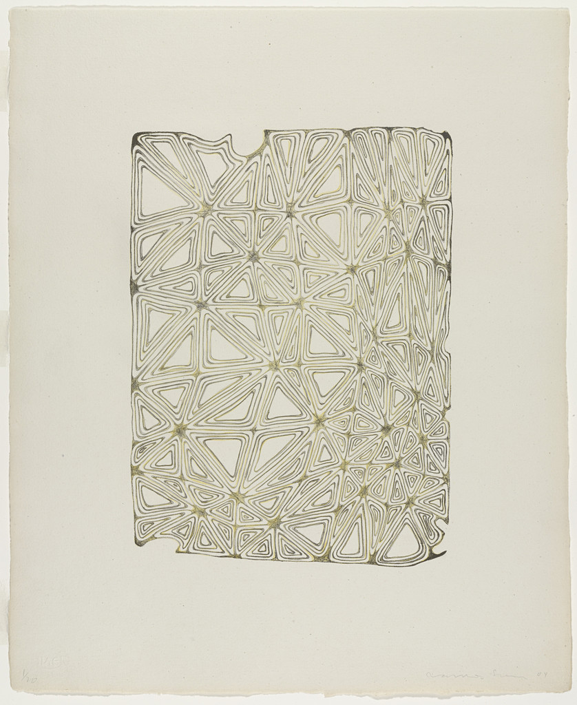 Infected Lattice